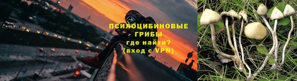 альфа пвп Заволжск