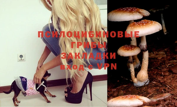 прущая мука Заводоуковск