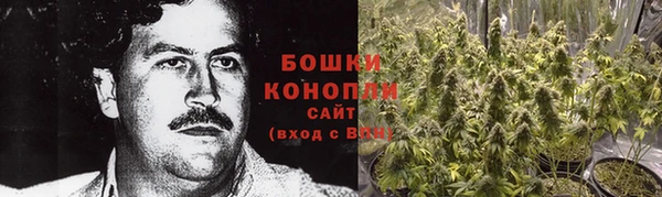 альфа пвп Заволжск